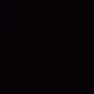 Meet your Posher, Rhonda